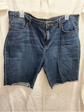 Women's Lee Blue Jean Shorts Plus Size 22M